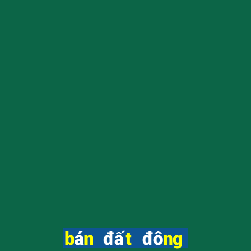 Khám Phá Thế Giới Giải Trí Đỉnh Cao Cùng bán đất đông trà đà nẵng - Trải Nghiệm Tuyệt Vời Chưa Từng Có